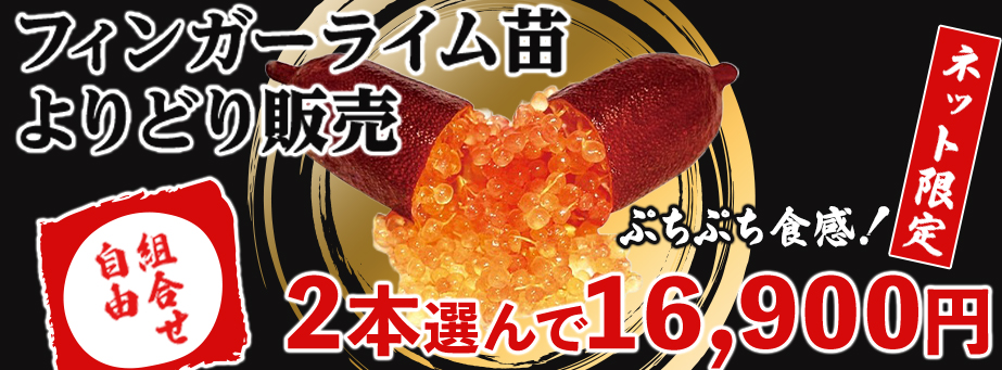 フィンガーライムよりどり販売