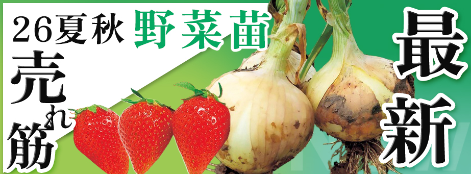 26夏秋 最新品種&売れ筋 【野菜苗】