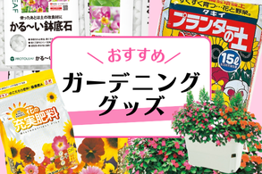 【オススメグッズ】