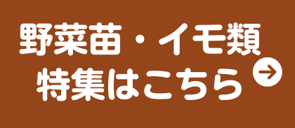 野菜苗・イモ類