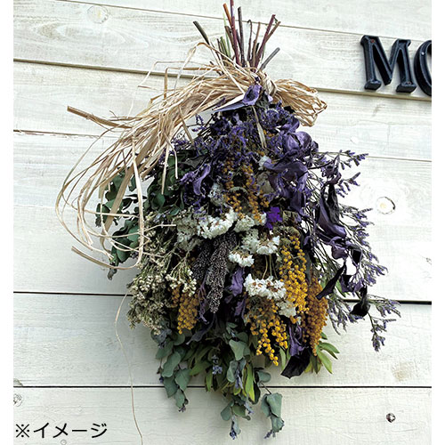 ミモザスワッグ 種 苗 ガーデニング用品の タキイネット通販 ミモザスワッグ 種 苗 ガーデニング用品の タキイネット通販