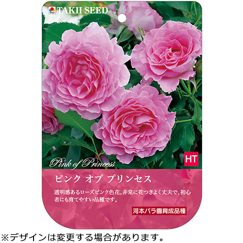 バラ・ピンク オブ プリンセス| 種・苗・ガーデニング用品の【タキイ 