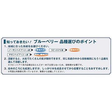 ブルーベリー・実付 タカヘ| 種・苗・ガーデニング用品の【タキイ 