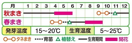 帝王貝細工 サルタン混合 種 苗 ガーデニング用品の タキイネット通販