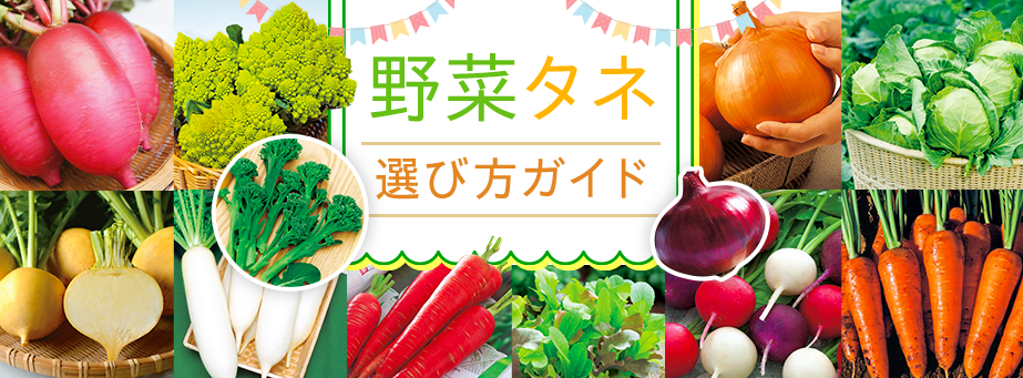 野菜タネ選び方ガイド