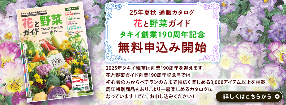 25夏秋ガイド募集