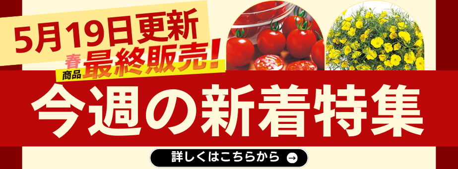 0519今週の新着