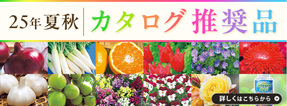 25夏秋カタログ推奨品