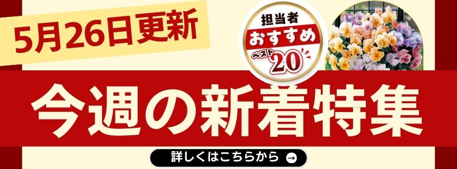 0526今週の新着
