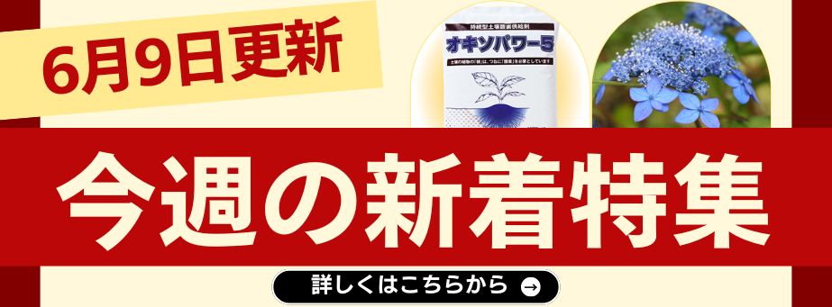 0609今週の新着
