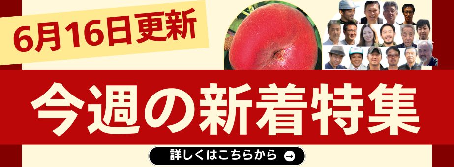 0616今週の新着