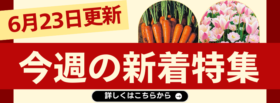 0623今週の新着