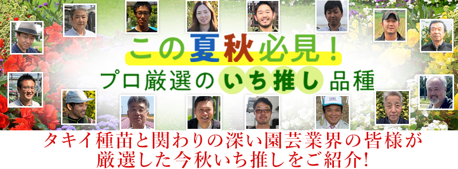 仕入先別