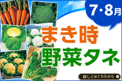 今、まき時