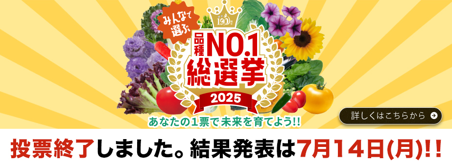 総選挙投票終了