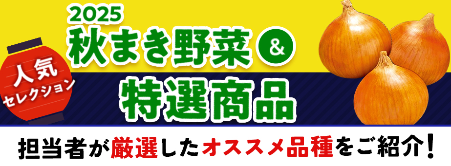 人気セレクション