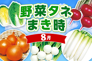 今、まき時