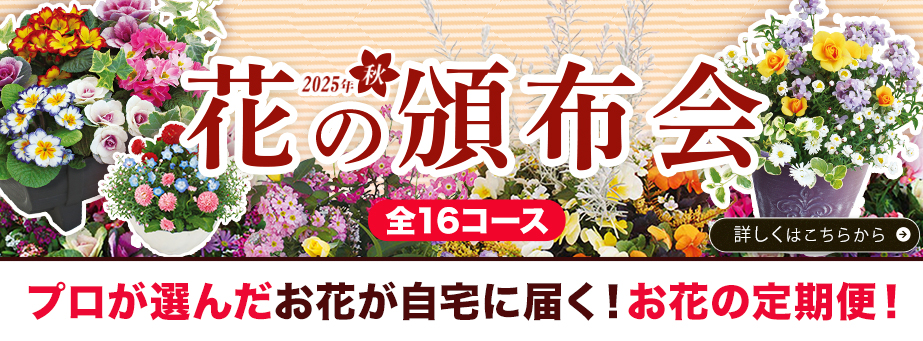 25夏秋頒布会
