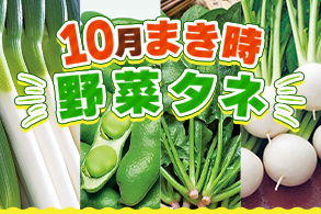 今、まき時