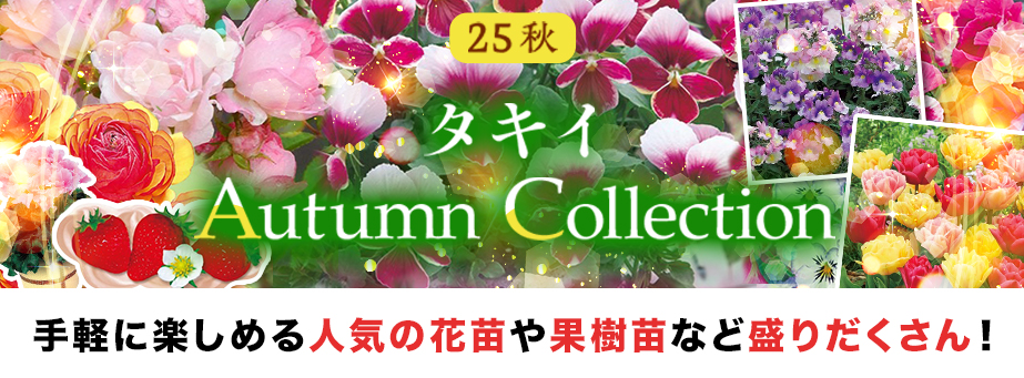 25秋オータムコレクション