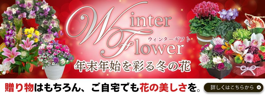 ウインターギフト