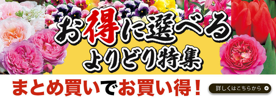 お得に選べるよりどり特集
