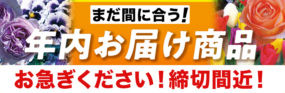 25夏秋最終販売