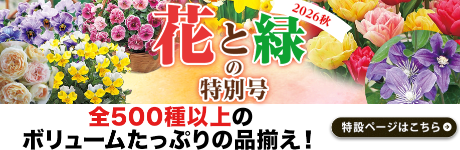 花と緑