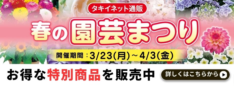 26春の園芸まつり