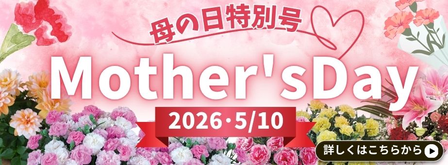 母の日特別号