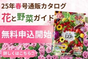 カタログ無料プレゼント