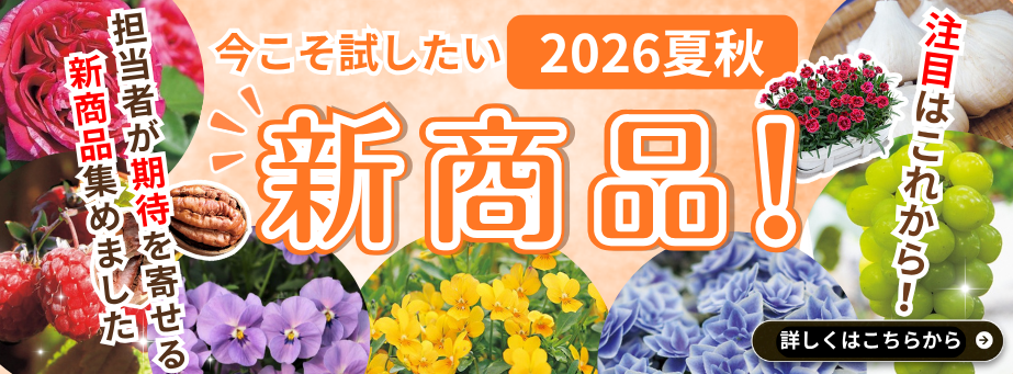 2026夏秋新商品