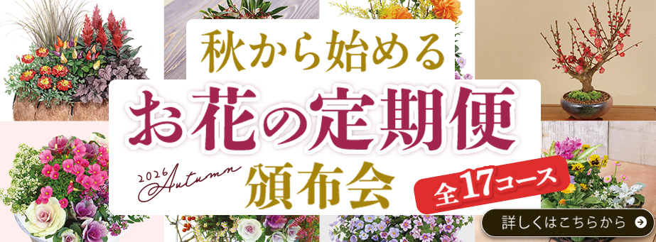 秋から始めるお花の定期便頒布会