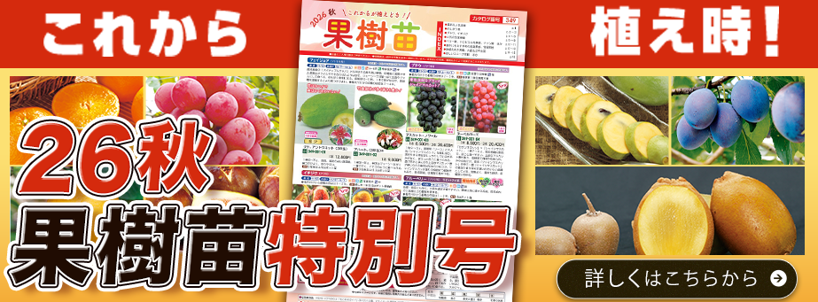 果樹苗パンフ