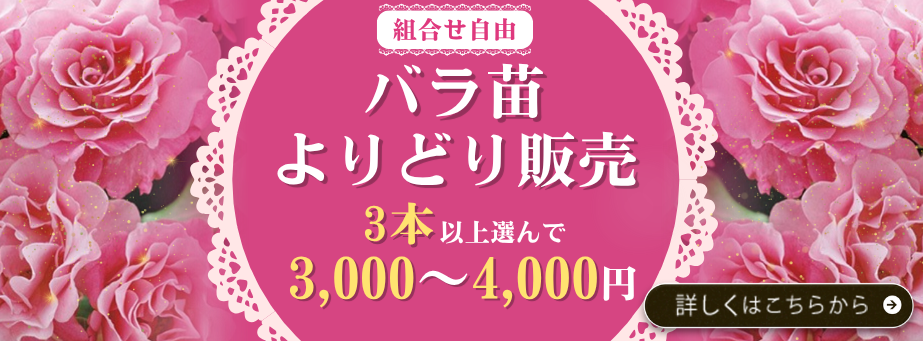 バラよりどり