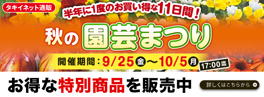 秋の園芸まつり