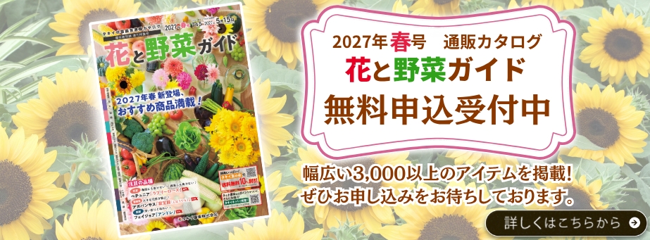 27春ガイド募集