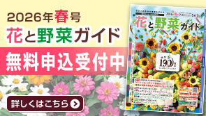 カタログ無料プレゼント カタログ無料プレゼント