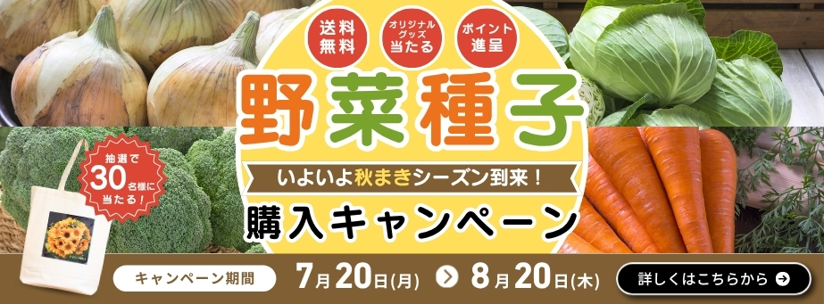 野菜種子キャンペーン