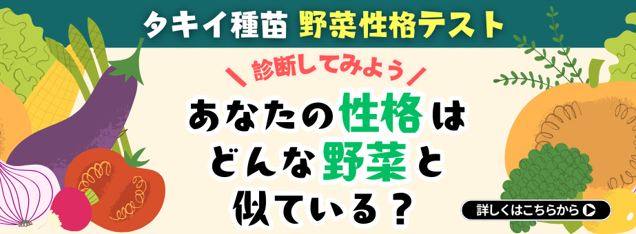 野菜性格診断